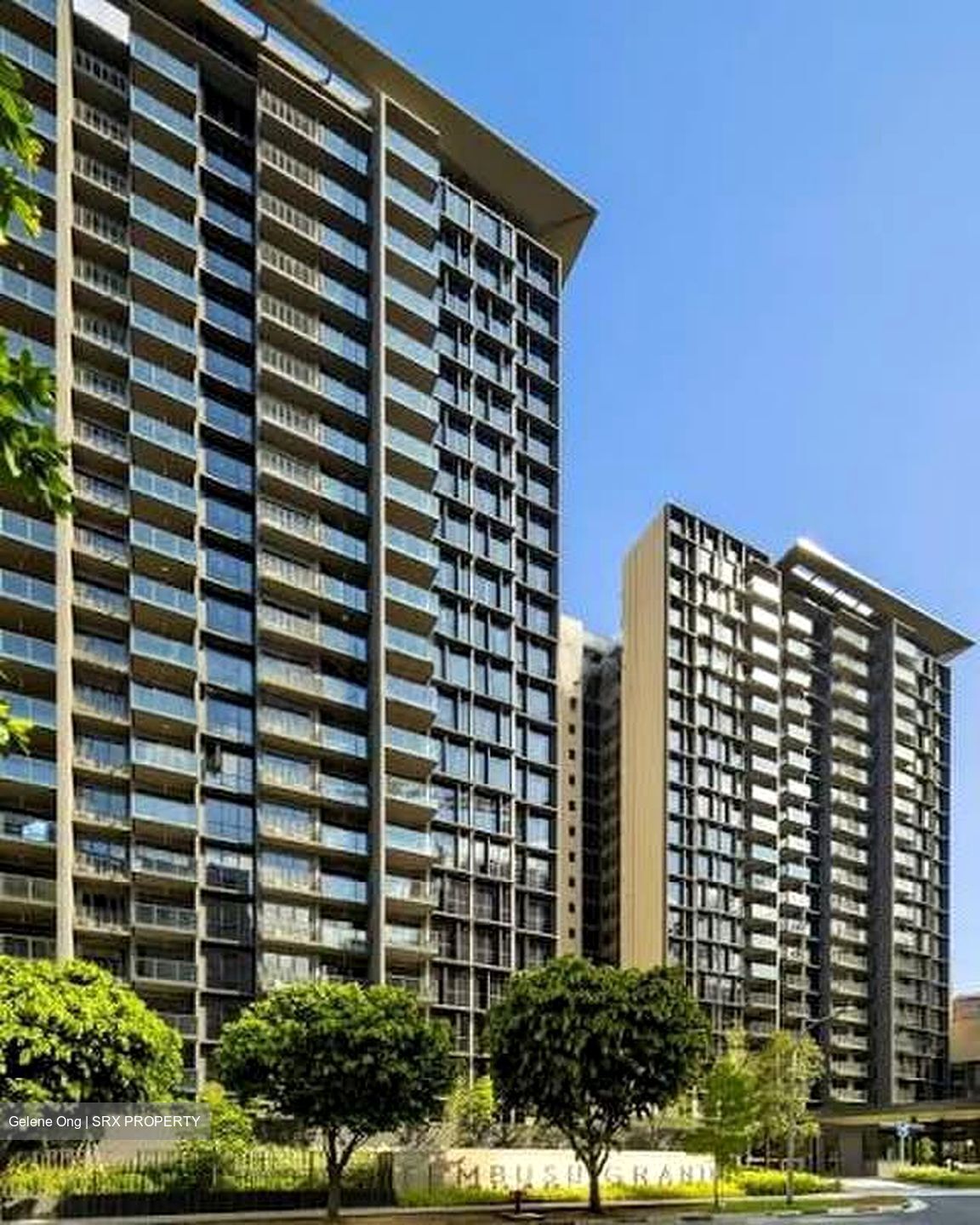 Tembusu Grand (D15), Condominium #576608091